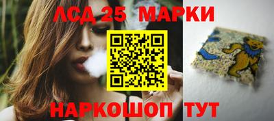 гидропоника Татарск
