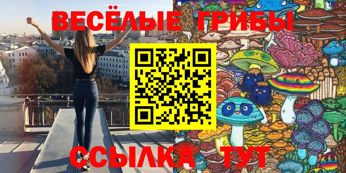 Галлюциногенные грибы Cubensis  Вход с VPN  Новороссийск 